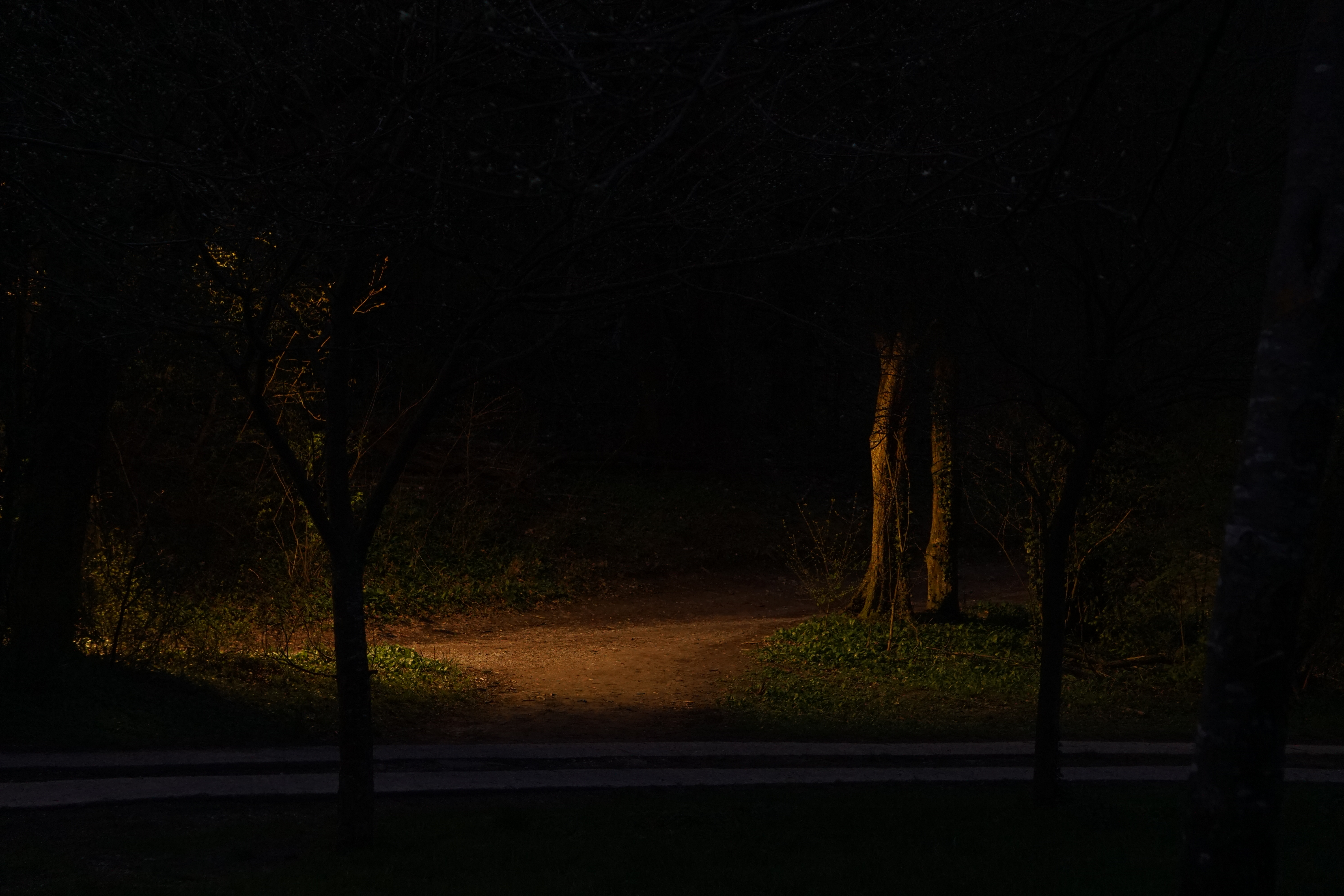 Von Laterne beleuchteter Weg bei Nacht